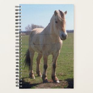Horse Photo Equine Norwegian Fjord Planner