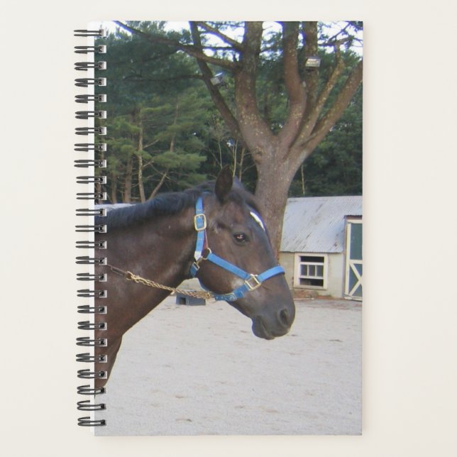 Horse Photo Equine Paddock Stable Planner (Front)