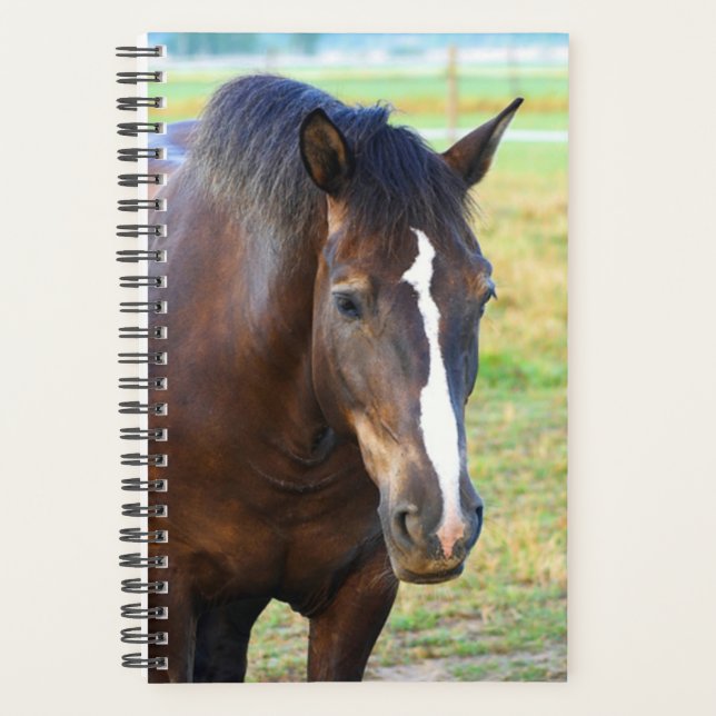 Horse Photo Equine Pretty Pasture Planner (Front)