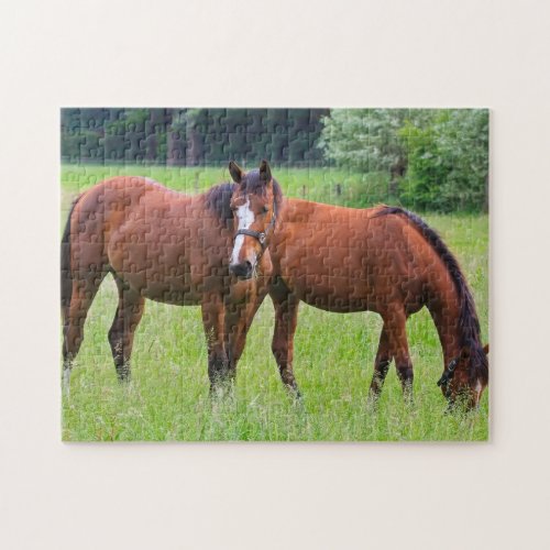 Horse photo jigsaw puzzle