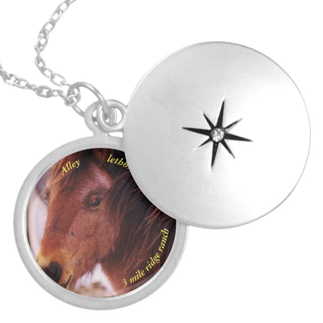 Horse Photo Medium Silver Plated Round Locket (Front)