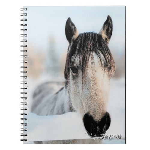 Horse Photo Notebook