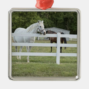 Horse Photo Ornament