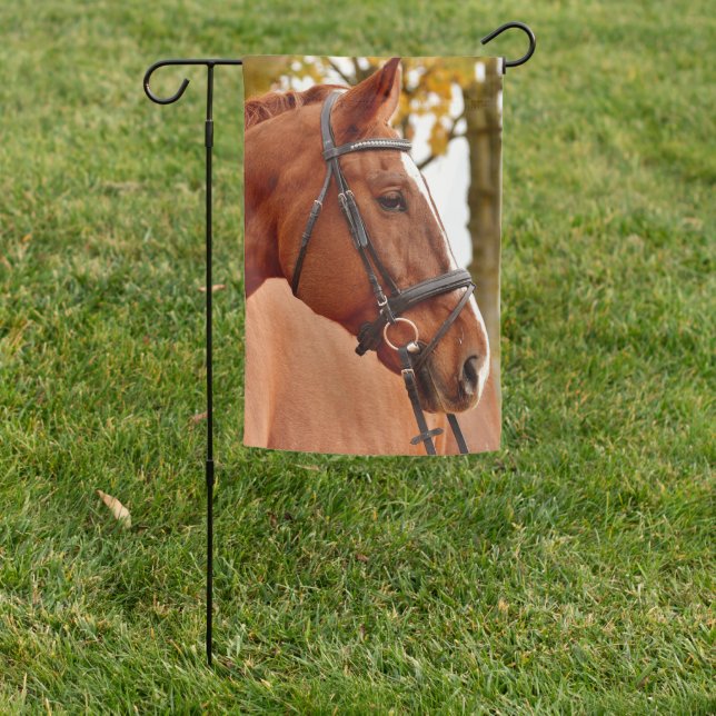 Horse Photo Pet Memorials Keepsake Horse Lover Garden Flag (In SItu)