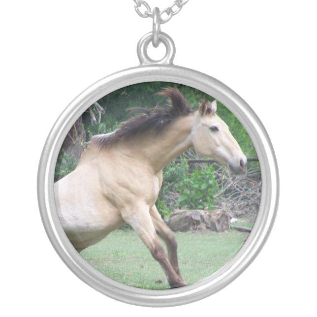 Horse photo silver plated necklace (Front)