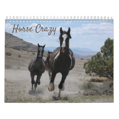 Horse Photographs for Horse Lovers Calendar