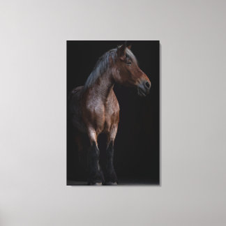 Horse Photography Canvas Print