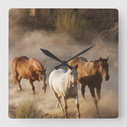 horse photography square wall clock