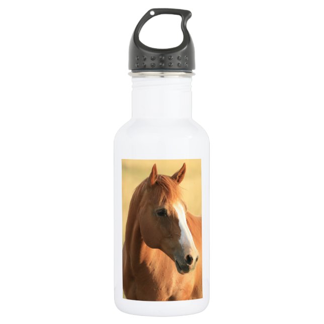 Horse picture water bottle (Front)