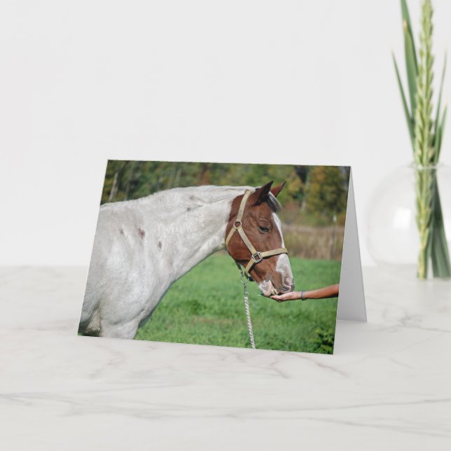 Horse-pitality Thank You Card (Front)