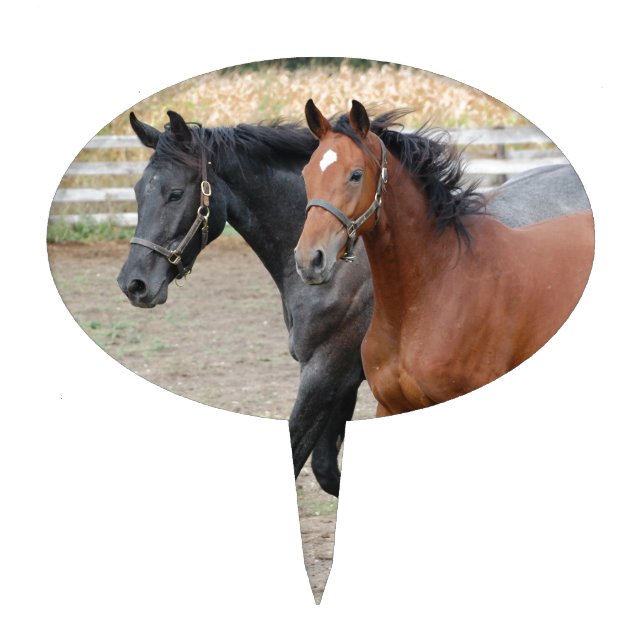 Horse Play Cake Topper (Front)