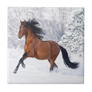 Horse Play In The Snow Tile