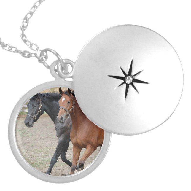 Horse Play Locket Necklace (Front)