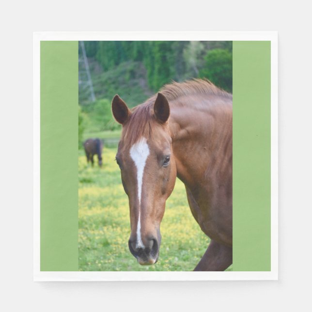 horse play napkins (Front)
