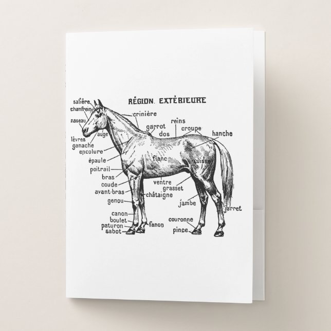 Horse Pocket Folder (Front)