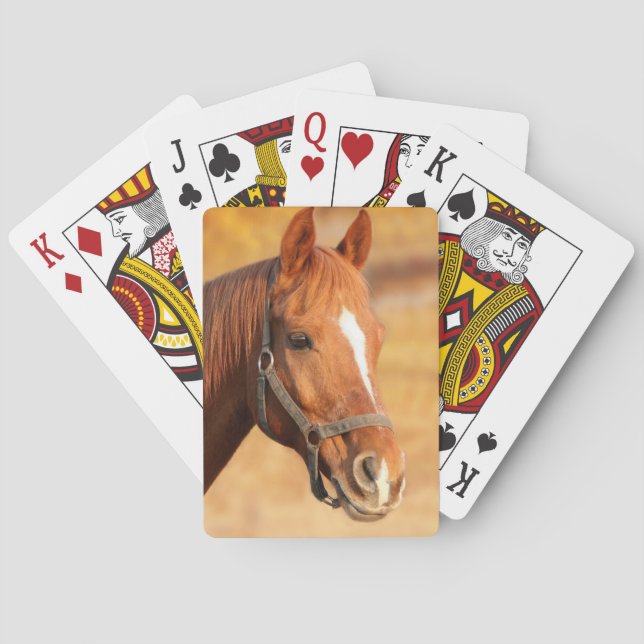 Horse Poker Cards (Back)