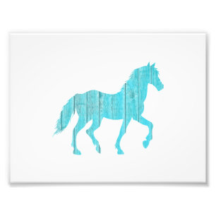 horse pony animal stallion, mustang silhouette photo print