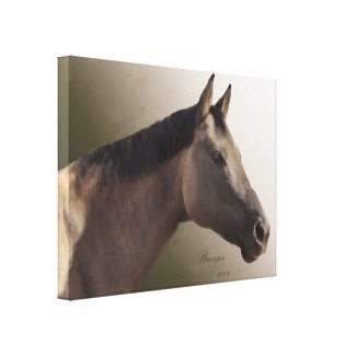 Horse Portrait  24X18X1.5 Canvas Print