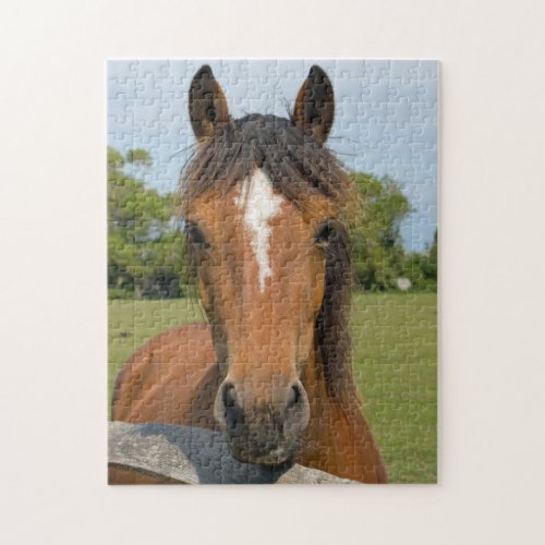 Horse portrait beautiful photo jigsaw puzzle
