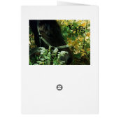 Horse Portrait Cards (Back)