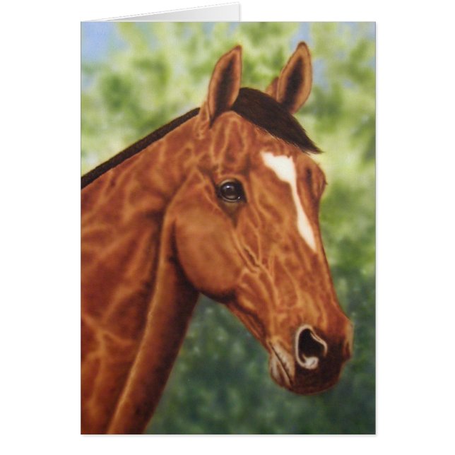 Horse Portrait Cards (Front)