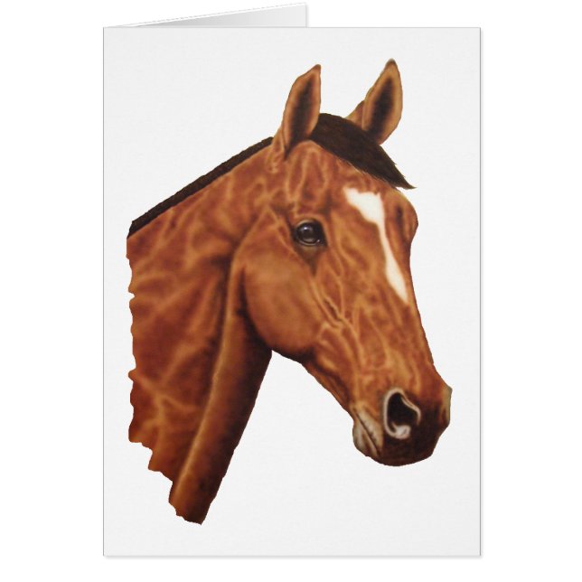 Horse Portrait Cards (Front)