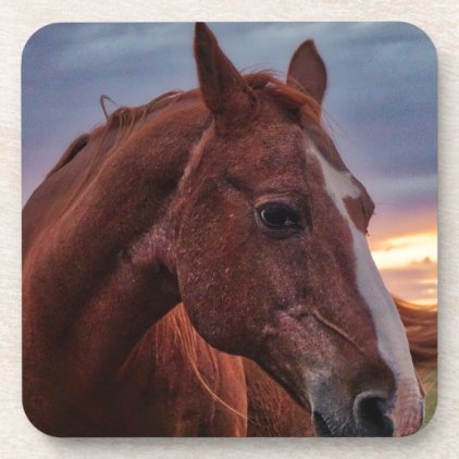 Horse Portrait Coaster