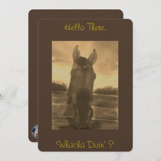 Horse Portrait Flat Contact/Communication  Card