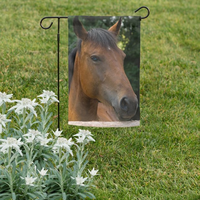 Horse Portrait Garden Flag (Horse Portrait Garden Flag)