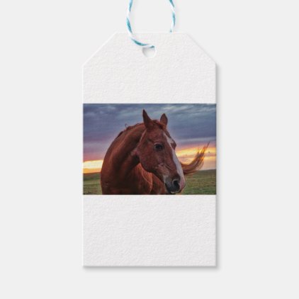 Horse Portrait Gift Tags