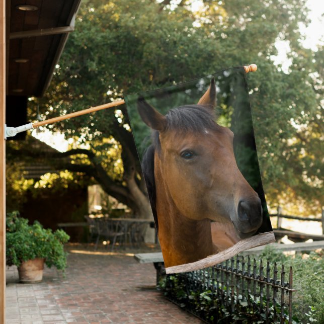 Horse Portrait House Flag (In SItu)