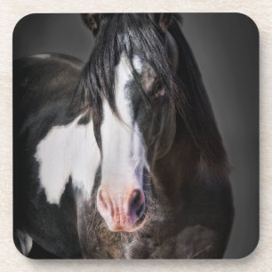 Horse Portrait II Beverage Coaster