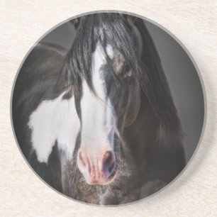 Horse Portrait II Drink Coaster