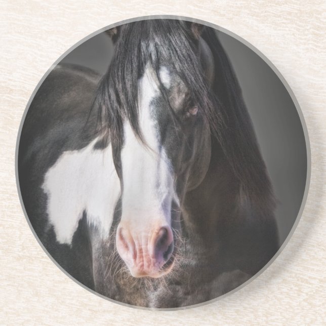 Horse Portrait II Drink Coaster (Front)