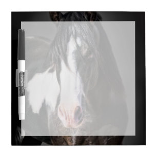 Horse Portrait II Dry Erase Board