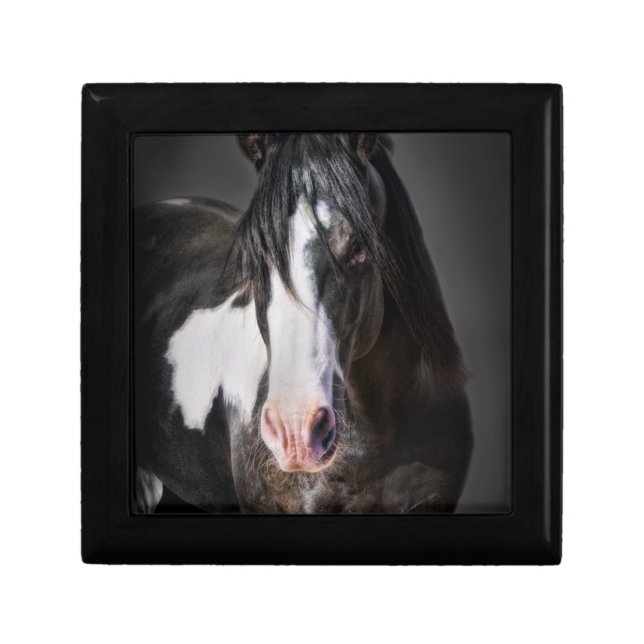 Horse Portrait II Gift Box (Front)