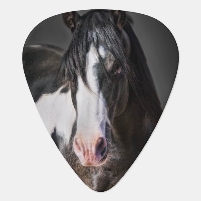 Horse Portrait II Guitar Pick (Front)
