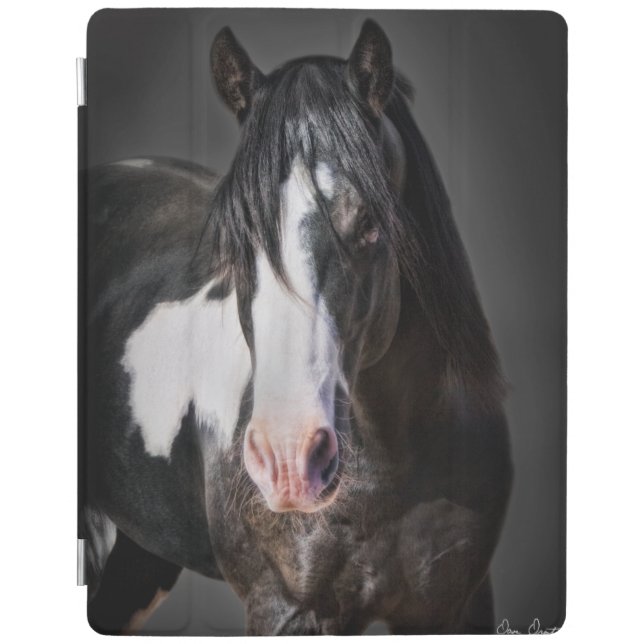 Horse Portrait II iPad Smart Cover (Front)