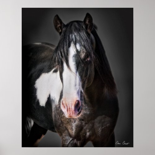 Horse Portrait II Poster