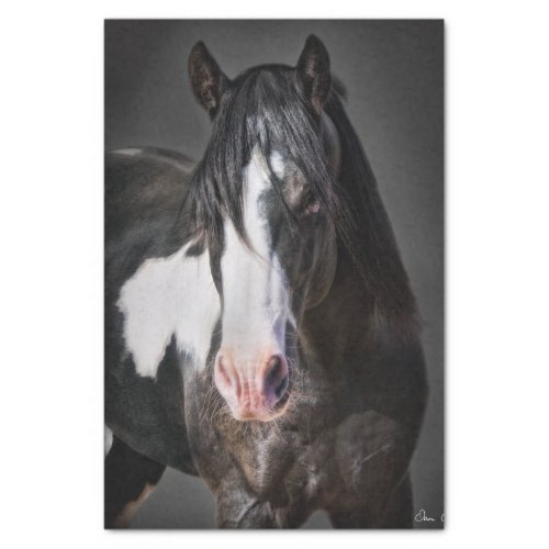 Horse Portrait II Tissue Paper