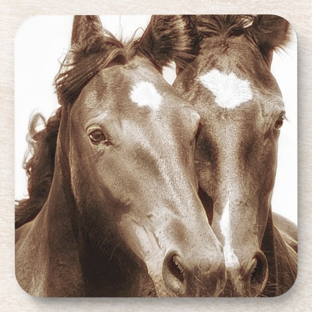 Horse Portrait III Beverage Coaster (Front)