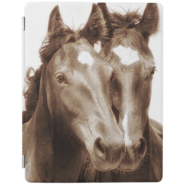 Horse Portrait III iPad Smart Cover (Front)