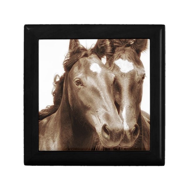 Horse Portrait III Jewelry Box (Front)