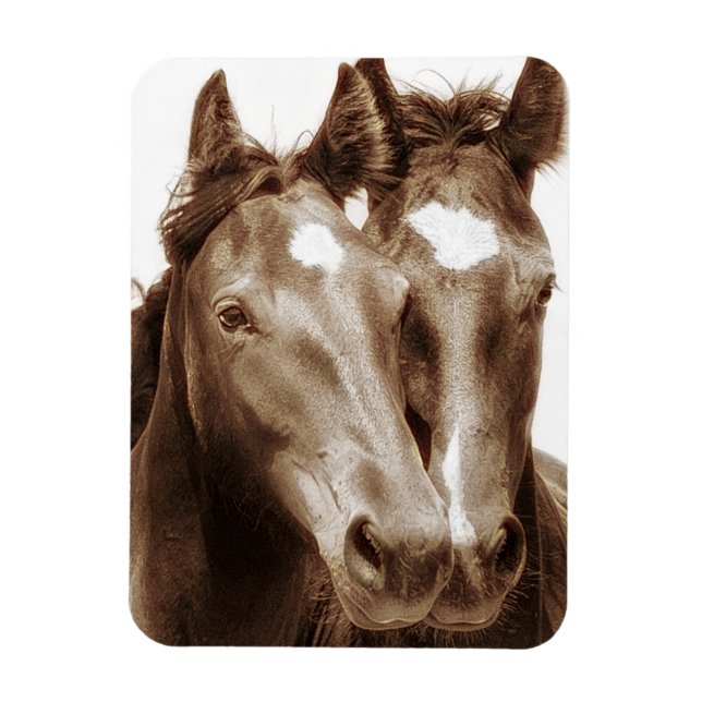 Horse Portrait III Magnet (Vertical)