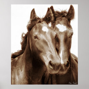Horse Portrait III Poster