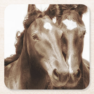 Horse Portrait III Square Paper Coaster