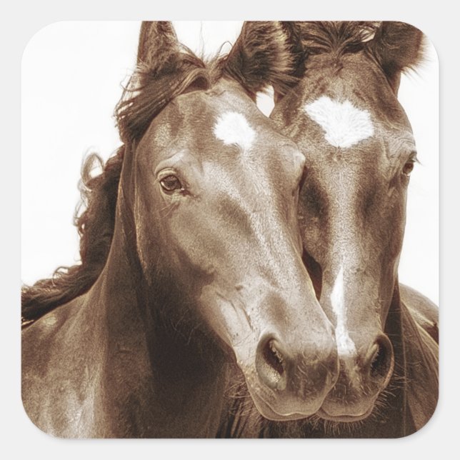 Horse Portrait III Square Sticker (Front)