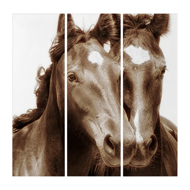 Horse Portrait III Triptych (Front)