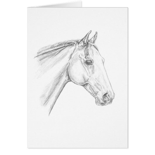 Horse Portrait in Pencil (Front)