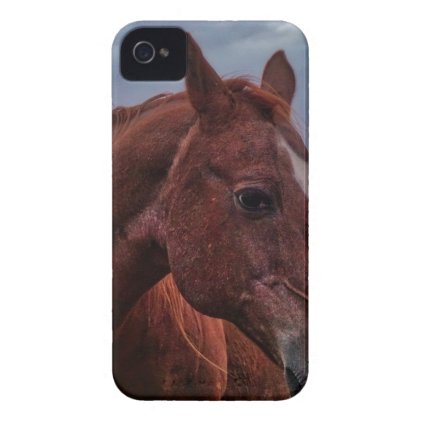 Horse Portrait iPhone 4 Case